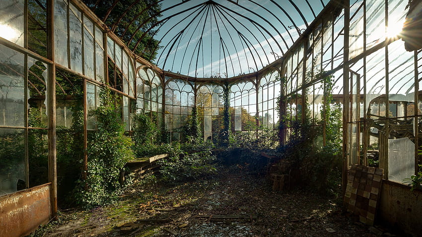 greenhouse, lost places HD wallpaper