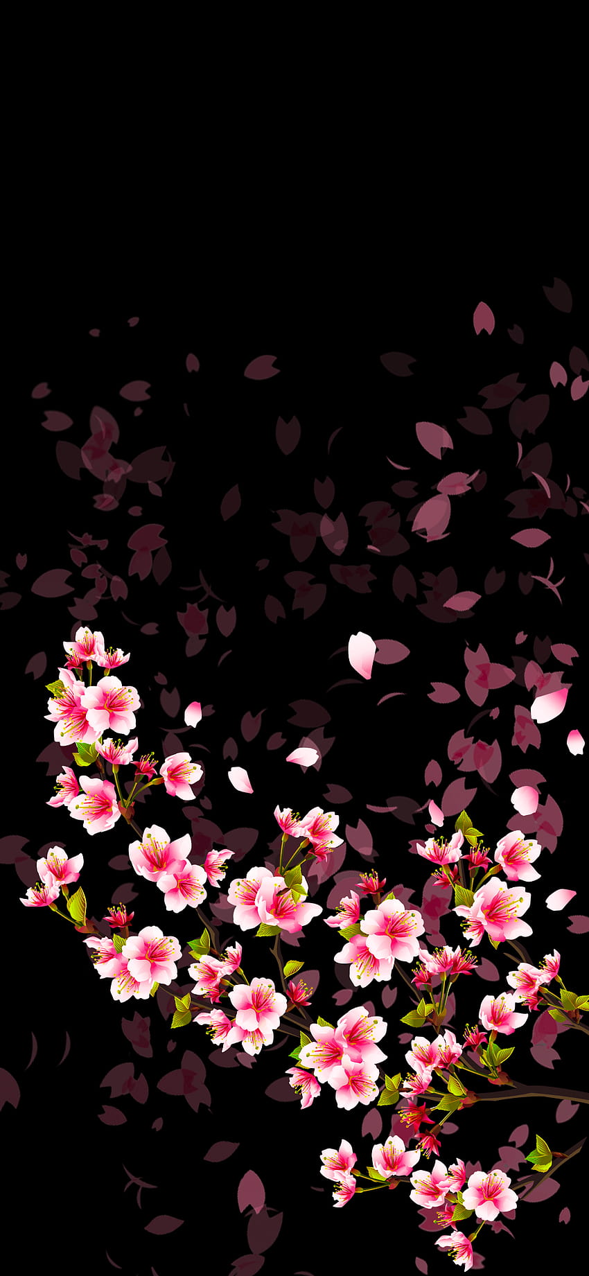 OLED Sakura yang saya buat untuk istri saya [1125x2436] : Latar belakang AMOLED, bunga amoled wallpaper ponsel HD
