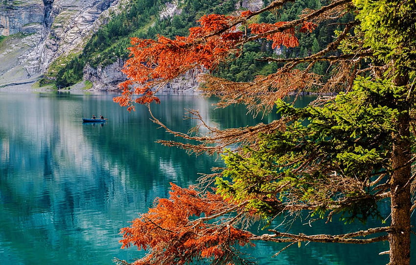 есен, езеро, дърво, лодка, Швейцария, рибари, есенна Швейцария HD тапет