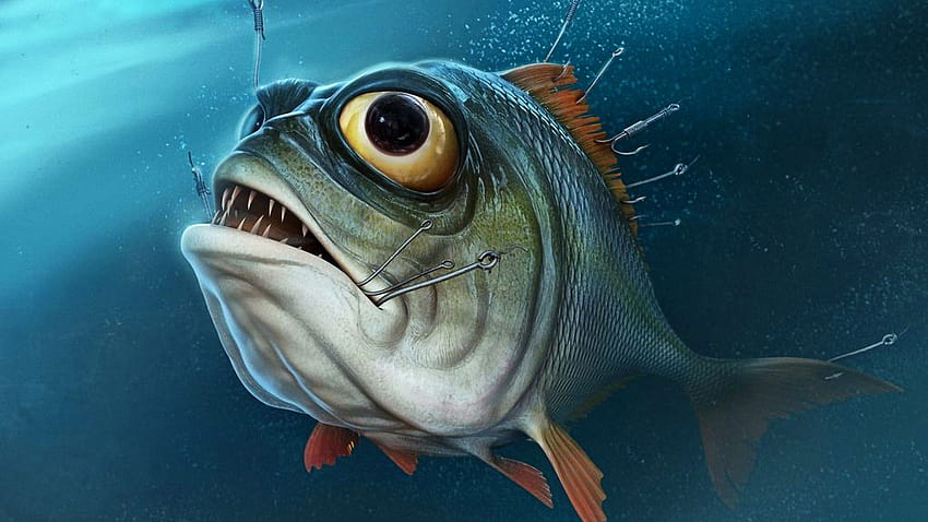bass fishing ,fish,fish,deep sea fish,marine biology,bony fish HD wallpaper
