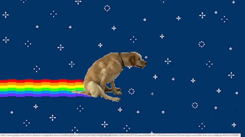 Nyan Dog Vs Nyan Cat