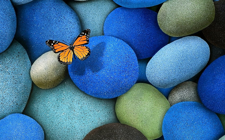 Lonely Butterfly Mac, butterfly lake HD wallpaper