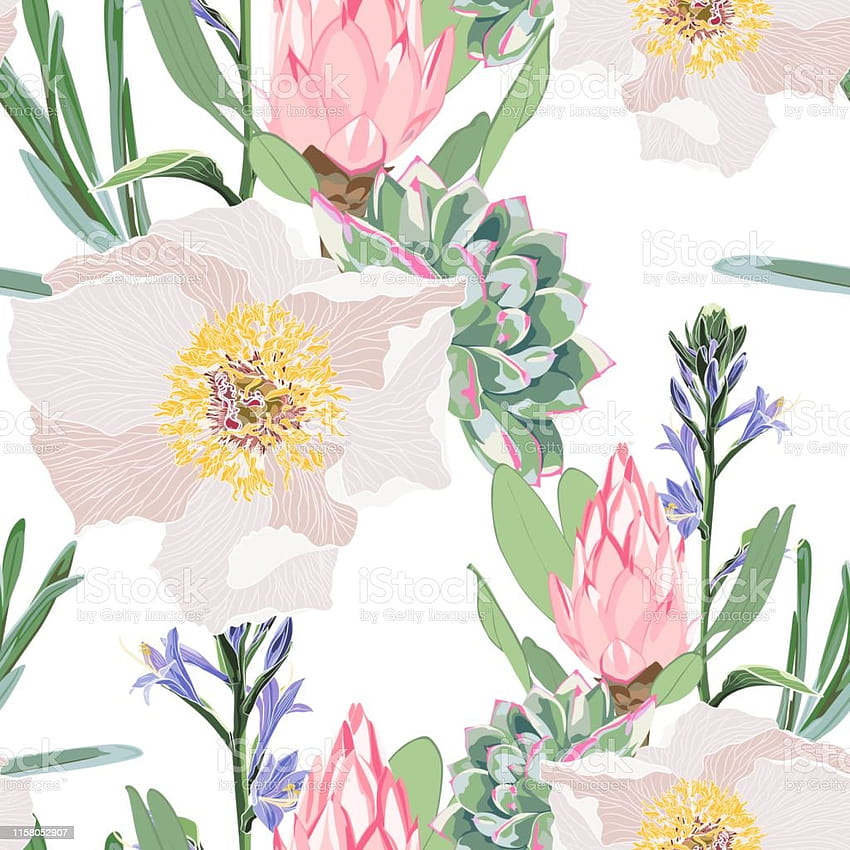 Rosa tropische Protea und beige Pfingstrosenblüten mit Kräutern und Bels-Blumenstrauß, nahtloses Muster, Aquarell-Stil, Illustration, weiße Hintergründe, trendige Frühlingsblumen- oder Stoff-Lagerillustration HD-Handy-Hintergrundbild