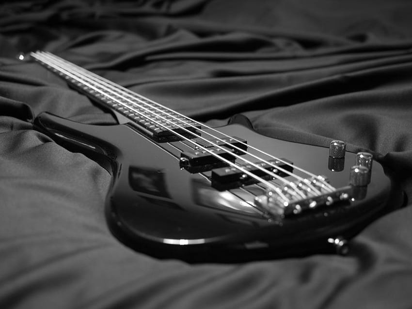 Electric Bass Guitar, bassist HD wallpaper