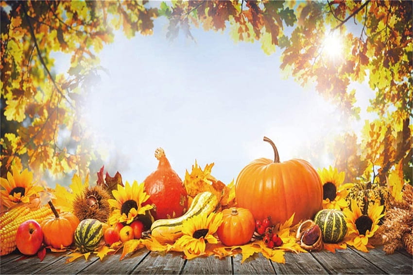 Amazon : Leowefowa Thanksgiving Day Thema Graphikhintergründe Vinyl 3,6 x 1,52 m Herbst Ahornbäume Kürbisse Sonnenblumen Gemüse Rustikale Holzbretter Hintergrund Kind Erwachsener Schießen Erntefest: Elektronik, Thanksgiving mit Sonnenblumen HD-Hintergrundbild