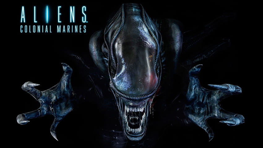 Video Game Aliens Colonial Marines, gbk HD wallpaper