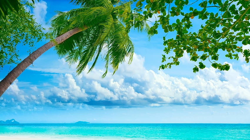 Khám phá 68+ hình ảnh summer beach desktop background - thpthoangvanthu ...