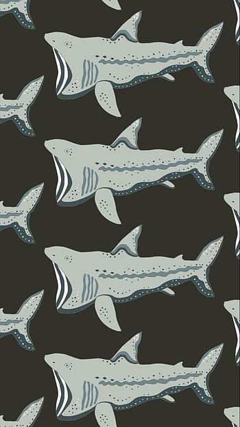 Mega mouth Basking Shark HD wallpaper