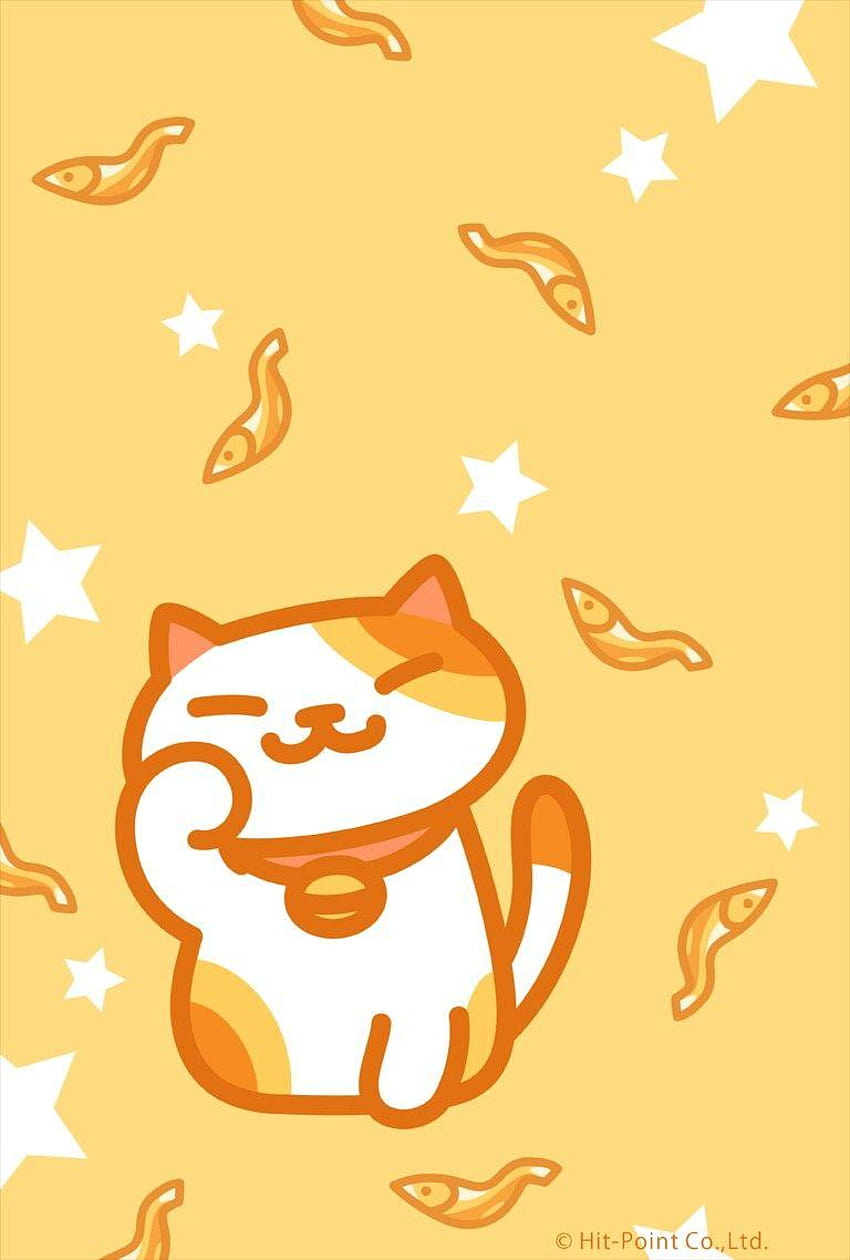 6 Cute Japanese Kitten, kawaii kittens HD phone wallpaper