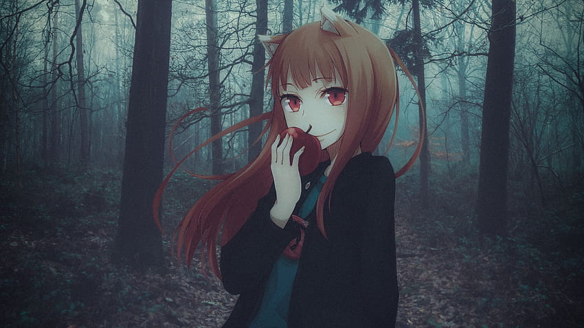 2560x1440 Holo Spice and Wolf 1440P Resolution , Anime , and Backgrounds, wolf anime HD wallpaper