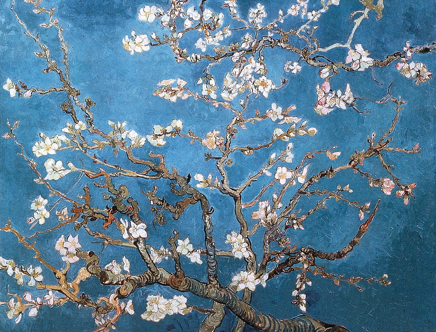 Amendoeira Van Gogh, tumblr van gogh papel de parede HD