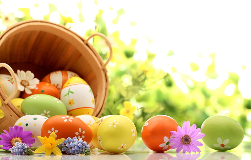 flowers, holiday, basket, eggs, spring, Easter, lavender, daffodils, Easter, kosmeya, Easter , section праздники, cute flower easter HD wallpaper