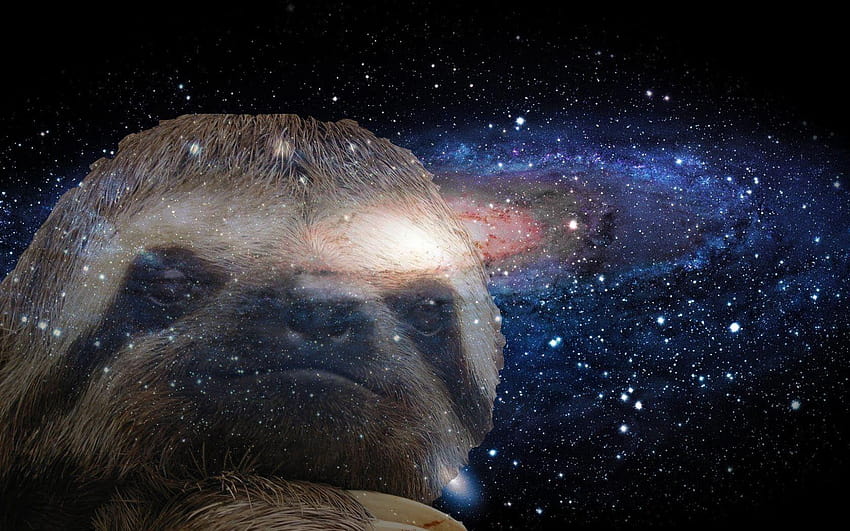 sloth in space wallpaper