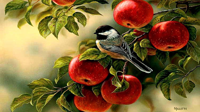 Apple Tree, fruit and birds HD wallpaper