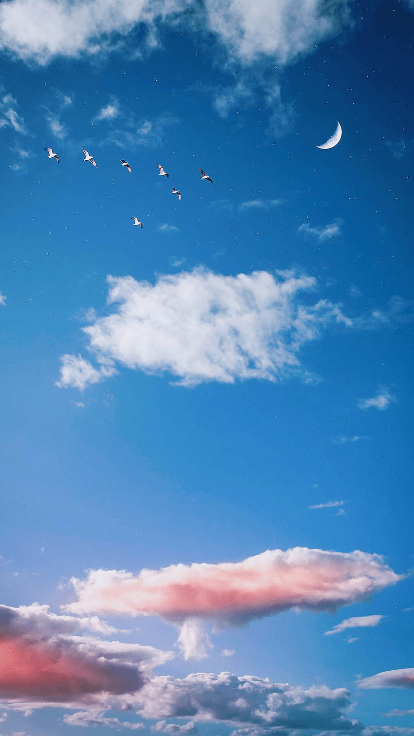 Tumblr Clouds posted by Ryan Johnson, cloudy tumblr HD phone wallpaper