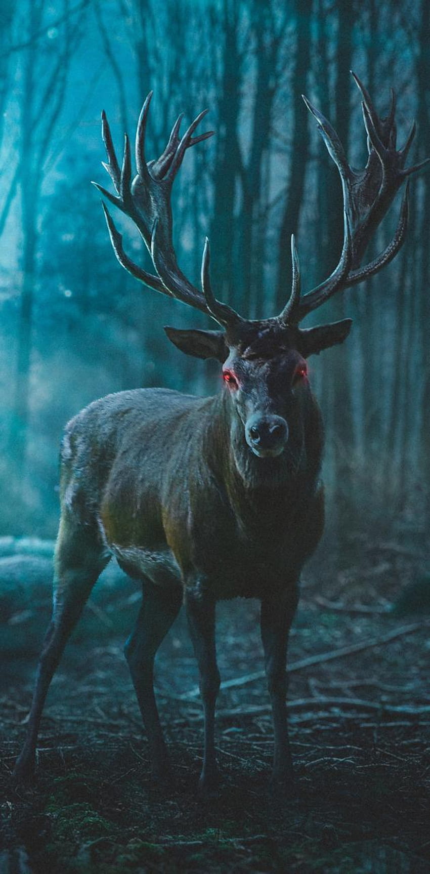 DEER by BeatsHub, deer heads HD phone wallpaper