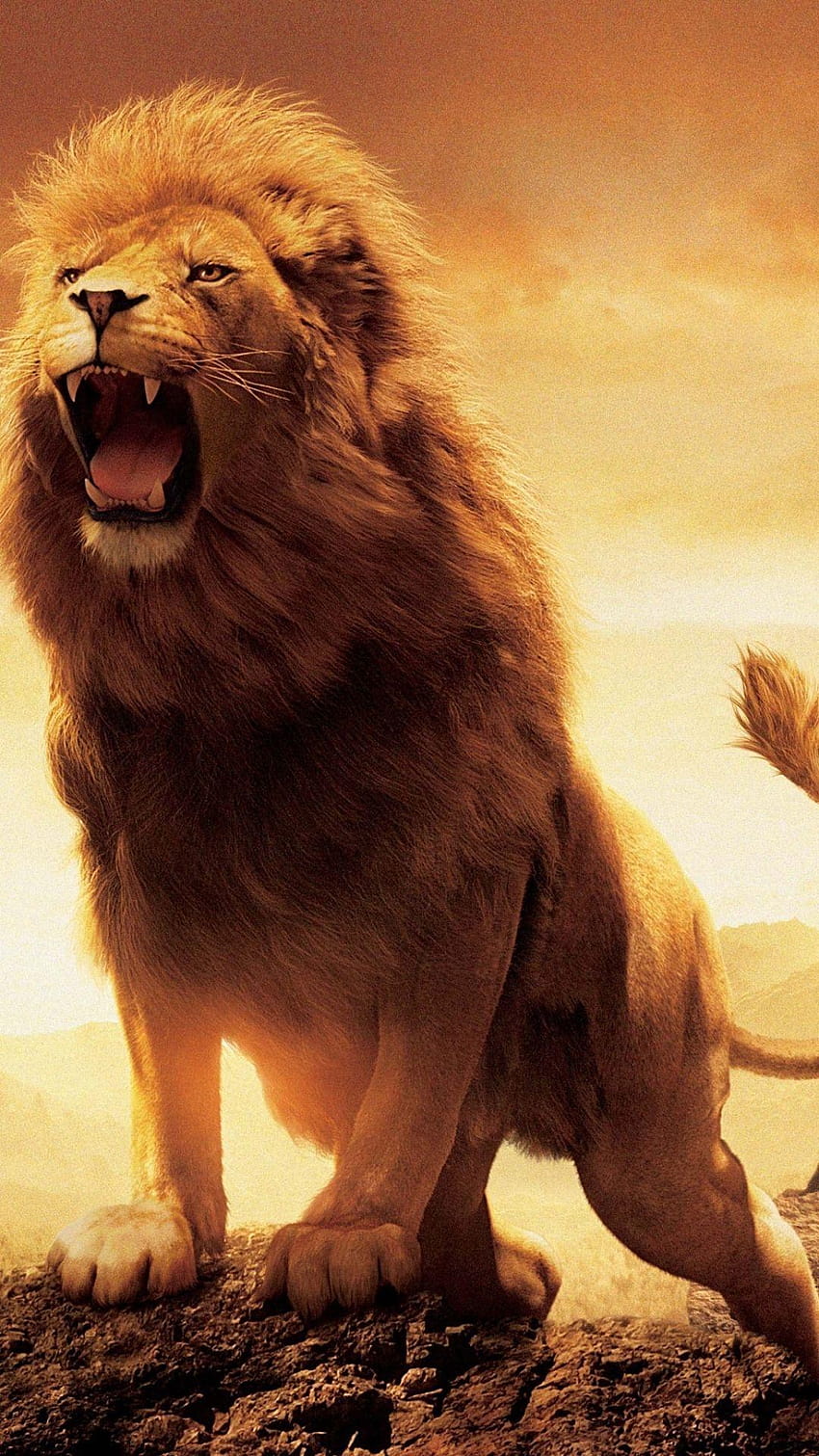 Film/The Chronicles Of Narnia: Singa, Penyihir, dan Lemari, aslan mengaum wallpaper ponsel HD