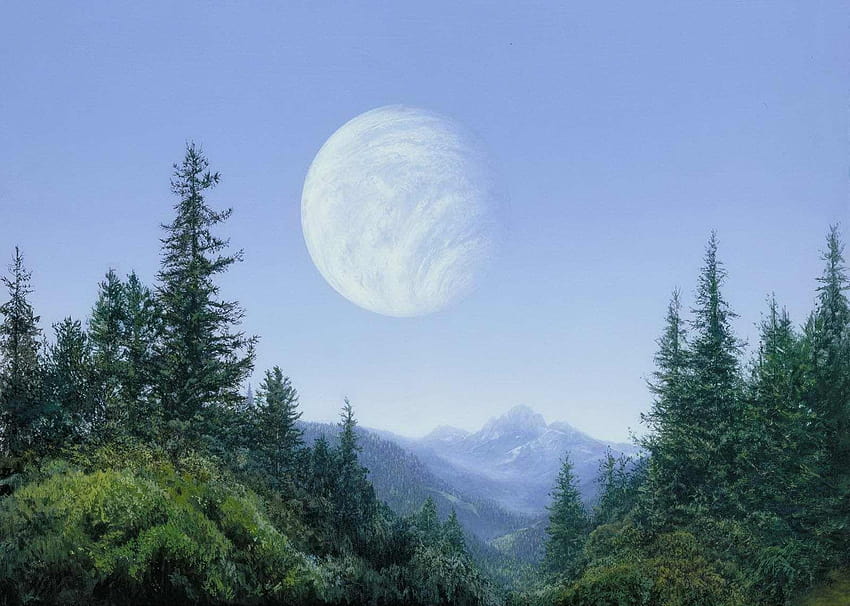 A landscape of the Forest Moon of Endor, as seen in Return, endor shield generator HD wallpaper