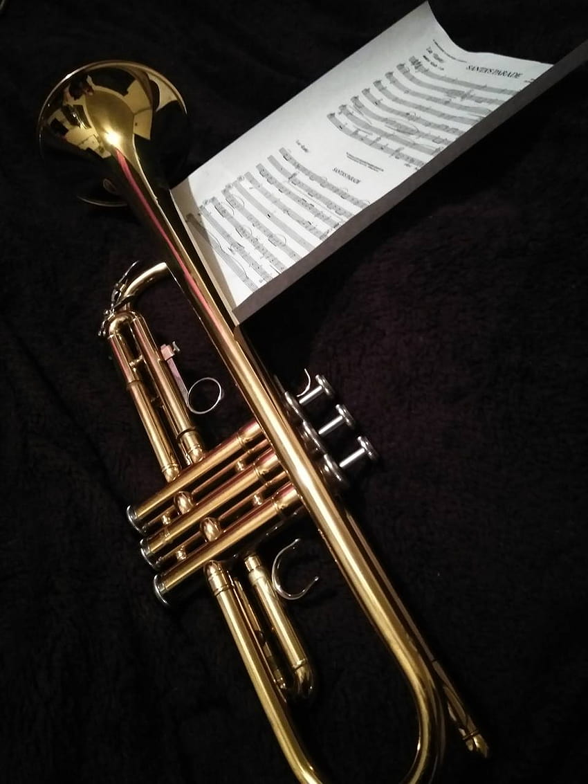Notas de trompete por Chelle112979, trompete iphone Papel de parede de celular HD