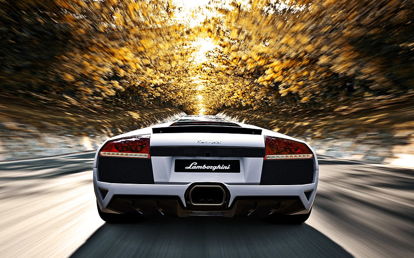 Top 20 Lamborghini Murcielago in Autumn / Gran Turismo 5 HD wallpaper |  Pxfuel