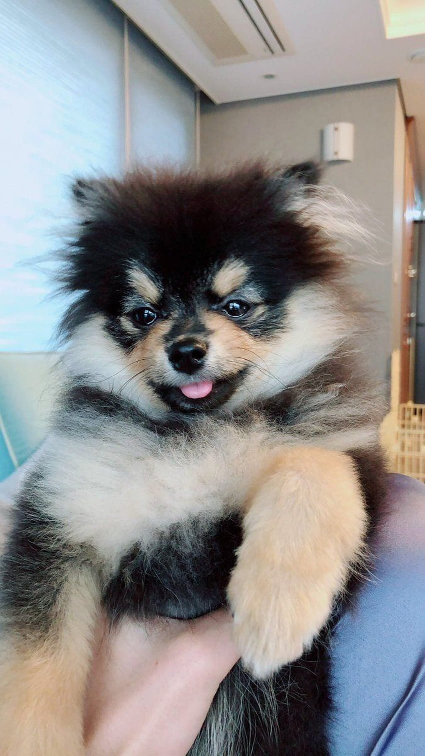 7 V / Yeontan Wallpaper ideas | taehyung, bts pictures, bts wallpaper