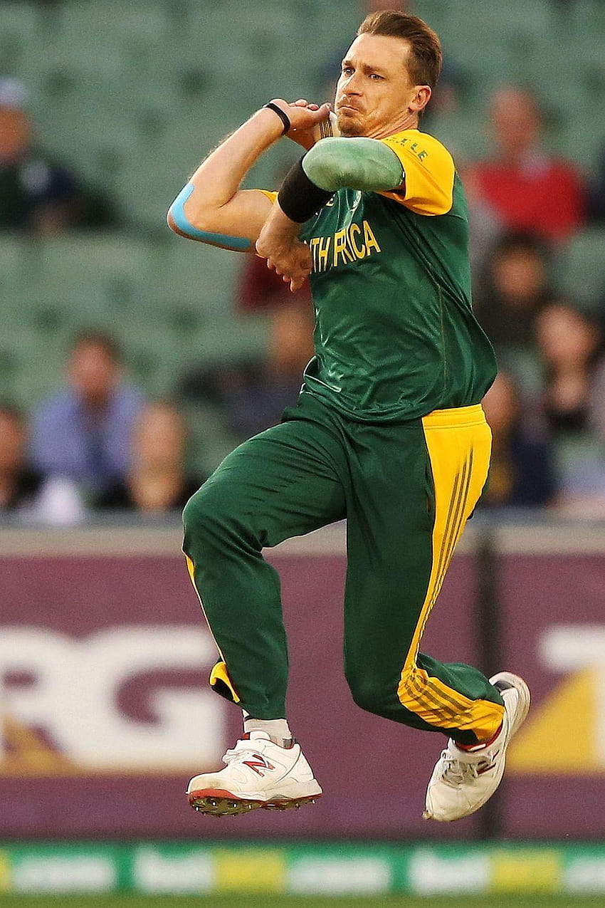South Africa bowler Dale Steyn takes on giant great white shark in HD phone wallpaper