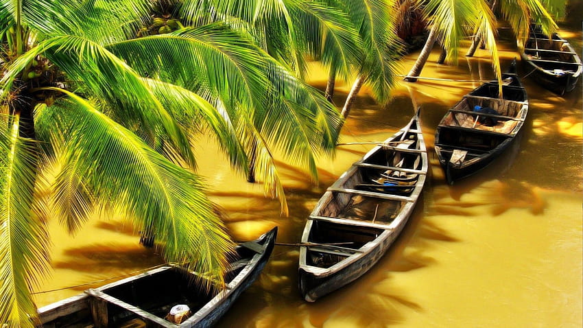 Barcos sob as palmeiras no rio marrom e, barco de madeira no rio papel de parede HD
