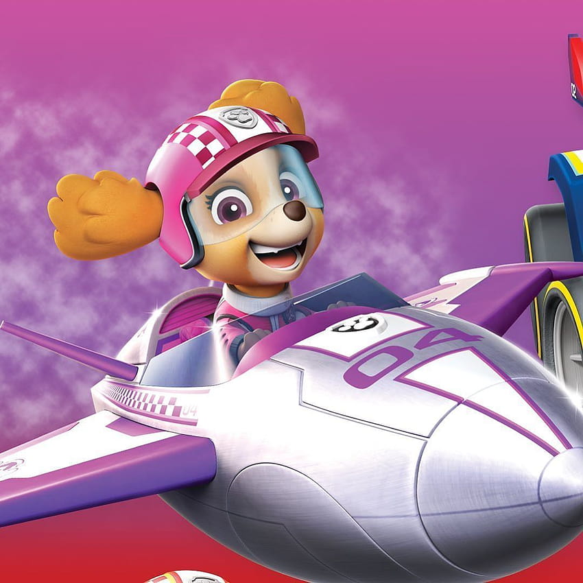 PAW Patrol on Instagram: “Finish off your Ready Race Rescue with SKYE!, paw patrol jet to the rescue skye HD phone wallpaper