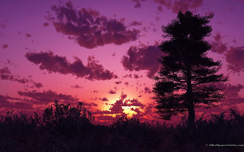 Best 3 Purple Sunset Backgrounds on Hip, aesthetic computer sunset HD wallpaper