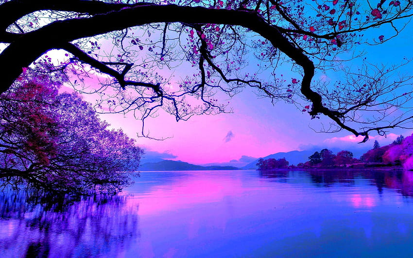 ungu dan merah muda dan biru, matahari terbit ungu yang sejuk Wallpaper HD