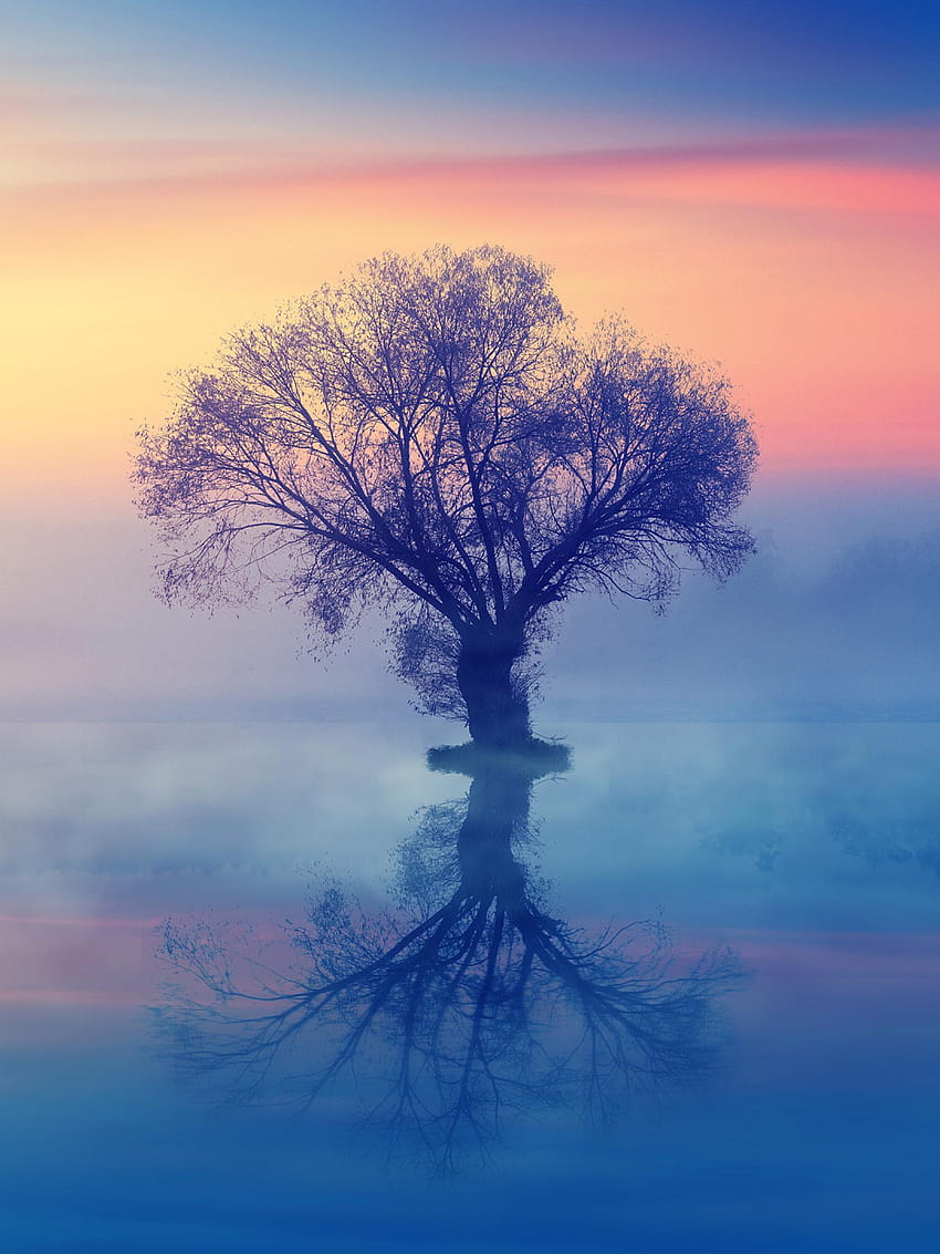 1620x2160 The Lonely Tree 1620x2160 Resolution , lonely tree with lights HD phone wallpaper