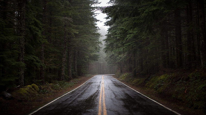 Floresta Rua Chuva Árvores Chovendo Inverno Evergreen, estrada da floresta de inverno papel de parede HD
