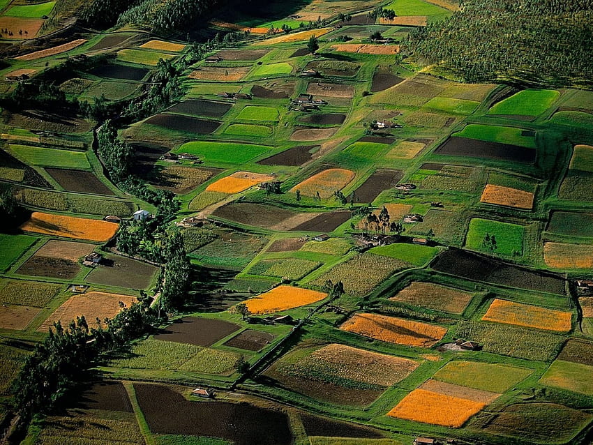 Farm Land Fields Landscape HD wallpaper