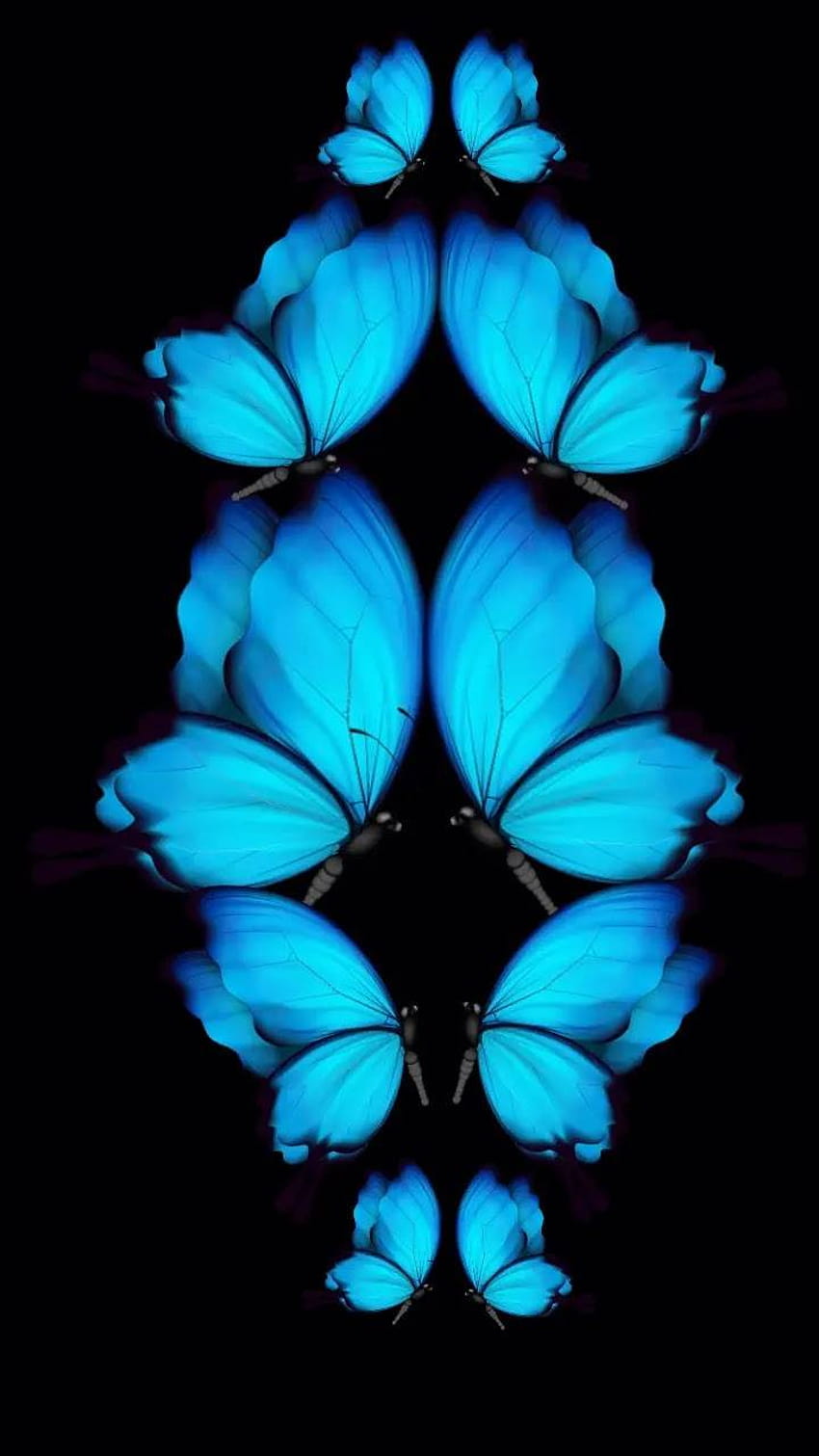 Butterfly Effect by Elephantseals1, the butterfly effect HD phone wallpaper