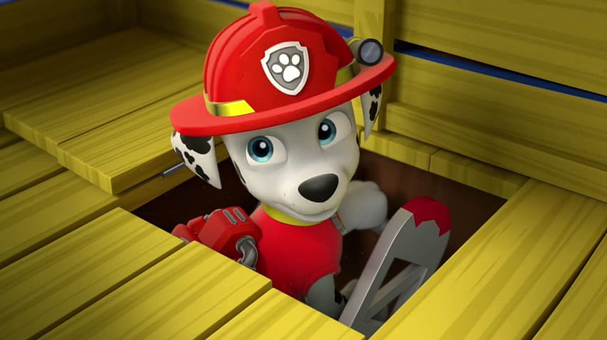 Pups Save a Toof/Gallery, paw patrol marshall Wallpaper HD