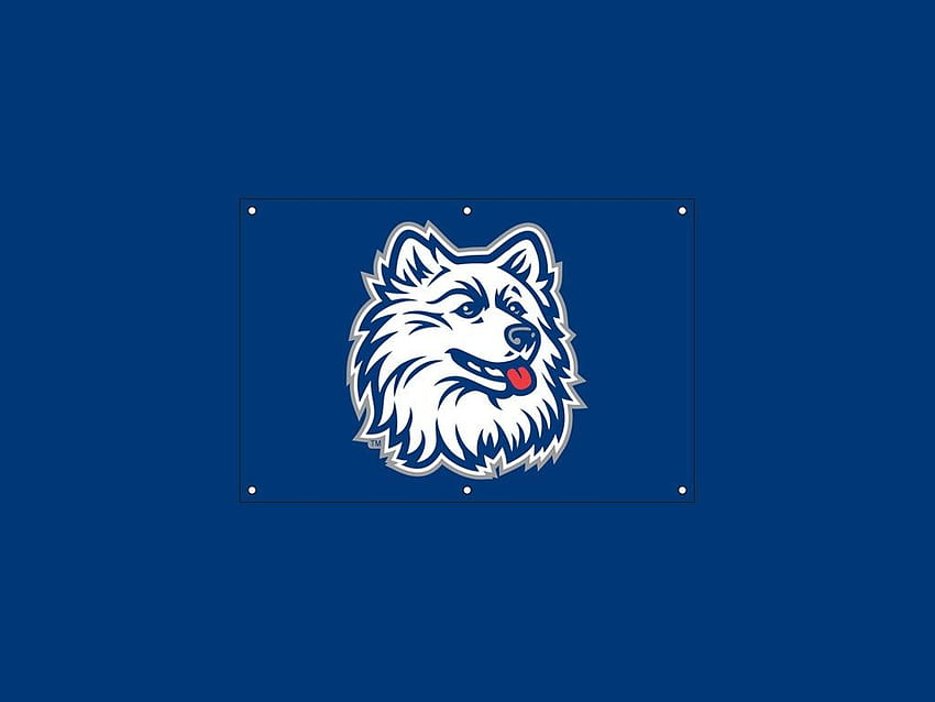 Pin by And1 Designs on NCAA iPhone 66s Wallpapers  Uconn Uconn huskies  Team wallpaper