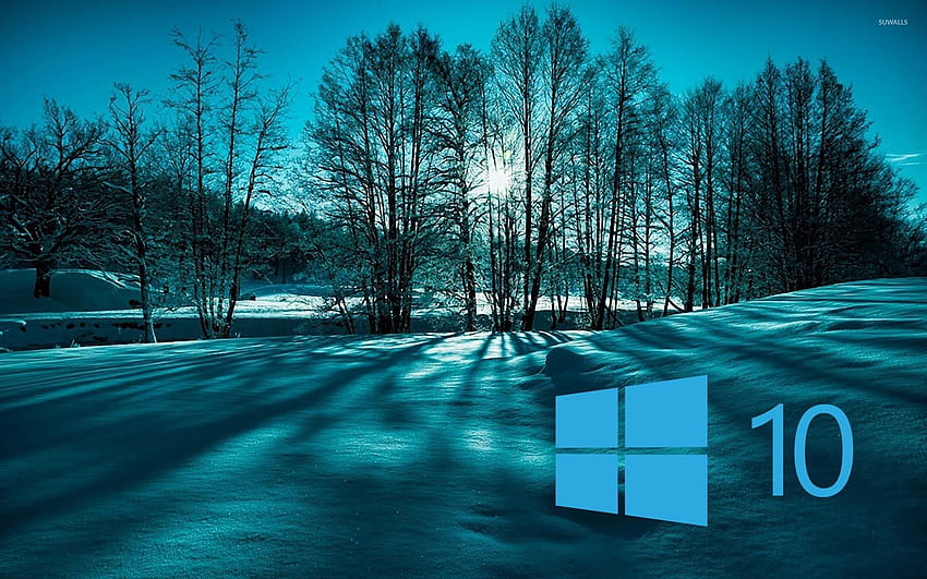 Windows 10 no logotipo azul simples das árvores nevadas, inverno do Windows 10 papel de parede HD