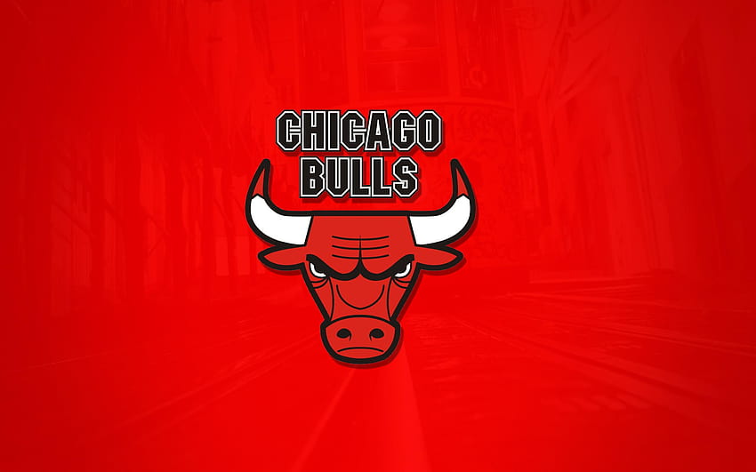 Chicago Bulls iPhone, logotipo do Chicago Bulls papel de parede HD