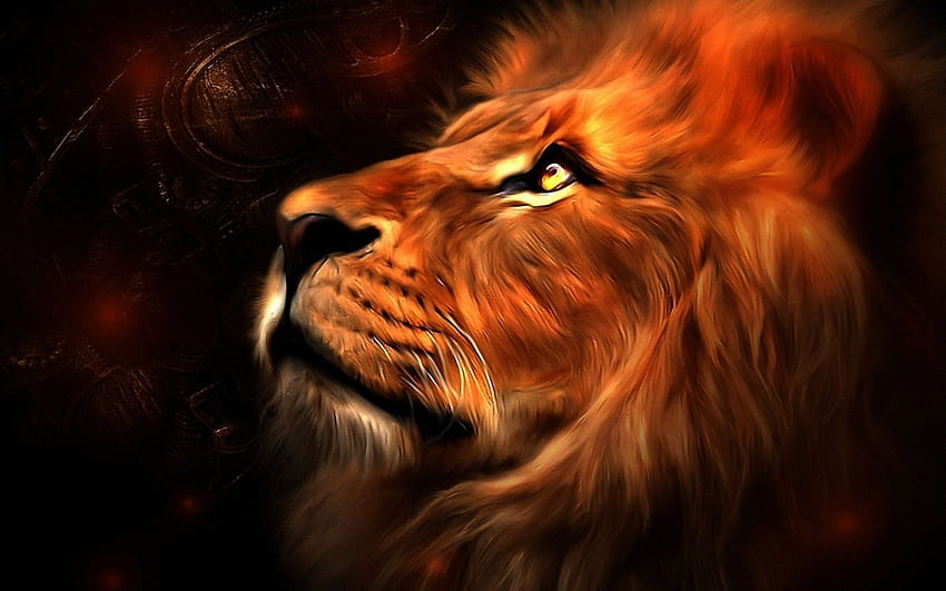 Lions, lion color HD wallpaper | Pxfuel