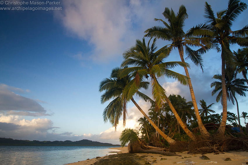 Fiji, Viti Levu HD wallpaper