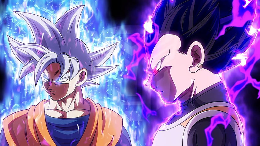 Ultra Instinct 悟空 & G.O.D ベジータ、vegeta ultra ego 高画質の壁紙