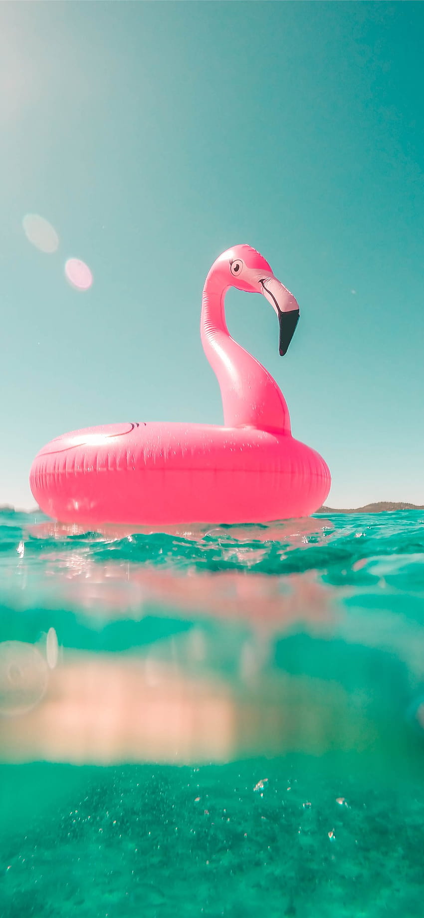 pink flamingo swim ring on body of water in summer iPhone 12, summer iphone 13 HD phone wallpaper