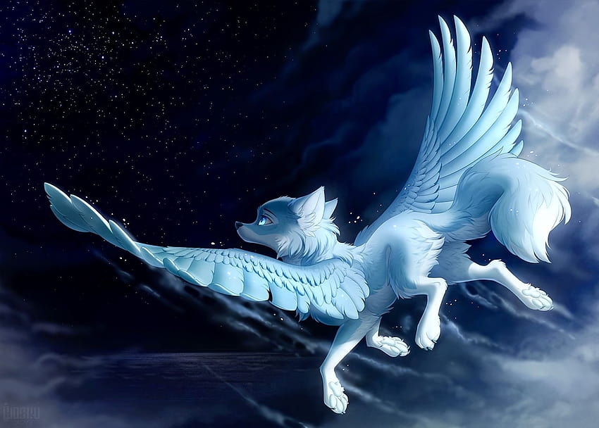 DragonFly on Animals, anime wolves with wings HD wallpaper | Pxfuel