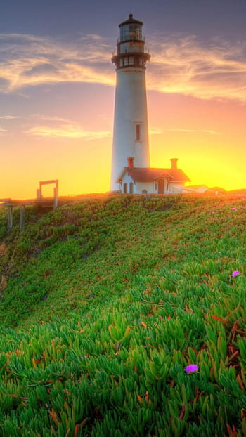 Lighthouse on green coast android HD wallpapers | Pxfuel