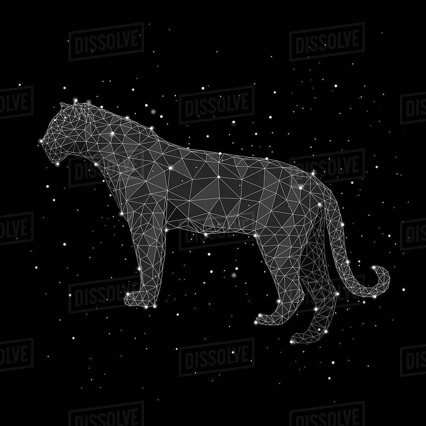 Illustration of constellation forming leopard against black, black leopard on black background HD phone wallpaper