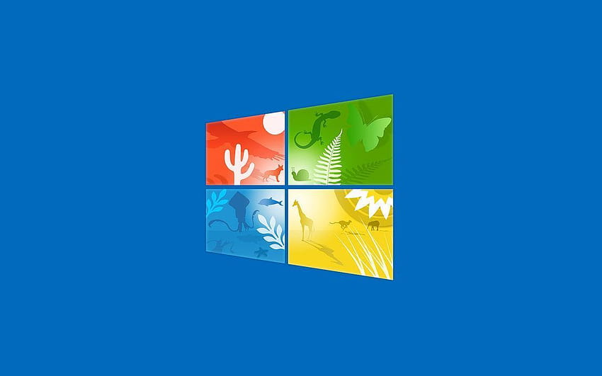 Windows 11 プロ、 高画質の壁紙