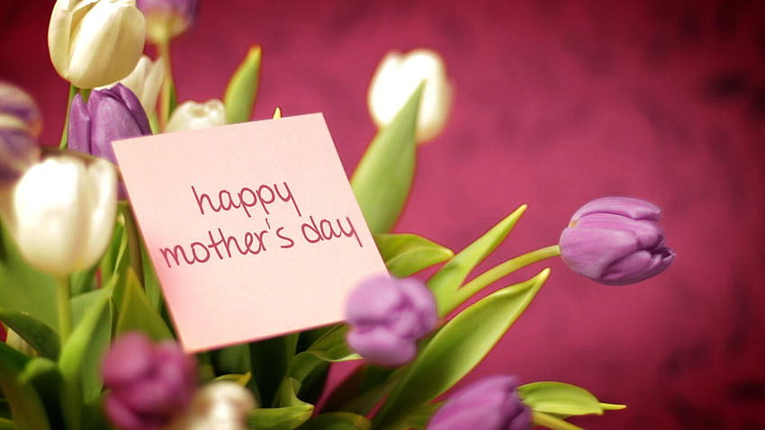 Gift Ideas for Mother’s Day 2017, mothers day ideas HD wallpaper | Pxfuel