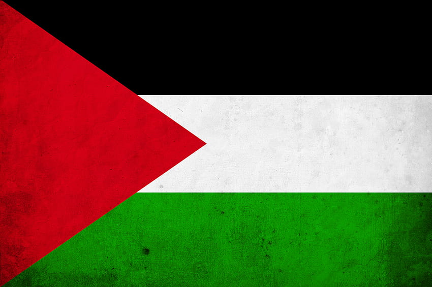 Bendera Palestina png 3000x4515 px Wallpaper HD