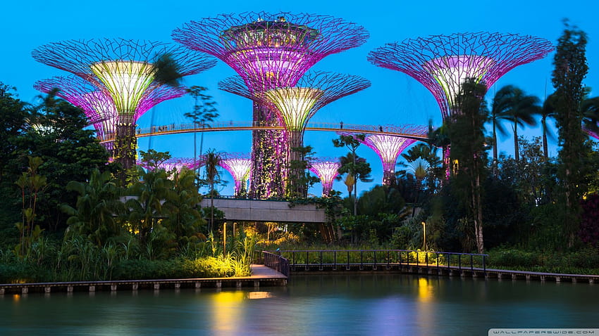 Supertree grove gardens by the bay singapore, singapur HD wallpaper