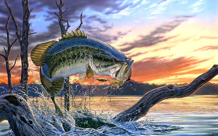 7 Largemouth Bass, tiny fishing HD wallpaper